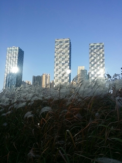 20151130114035586.jpg